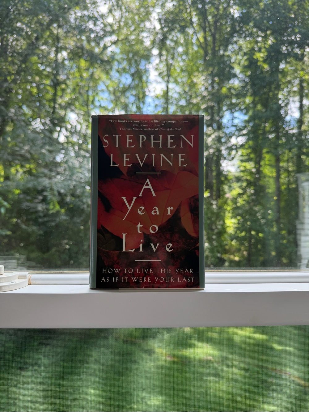 'A Year to Live' by Stephen Levine - Hardcover book